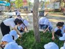 VSMT3.jpg - 