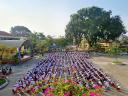 VSMT5.jpg - 